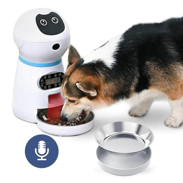 Chien utilisant notre distributeur intelligent de croquettes