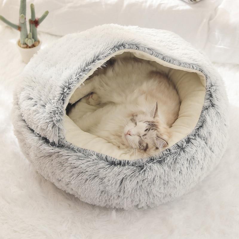 chat dans notre nid douillet