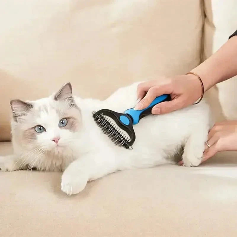 Brosse bleue pour chien et chat en utilisation sur un chat