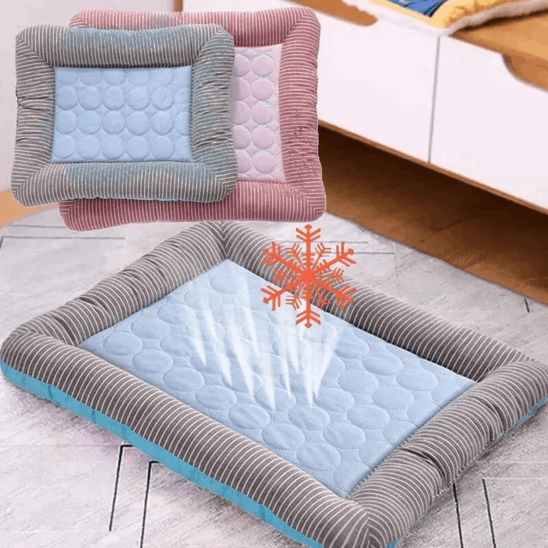 tapis rafraichissant bleu pour chien