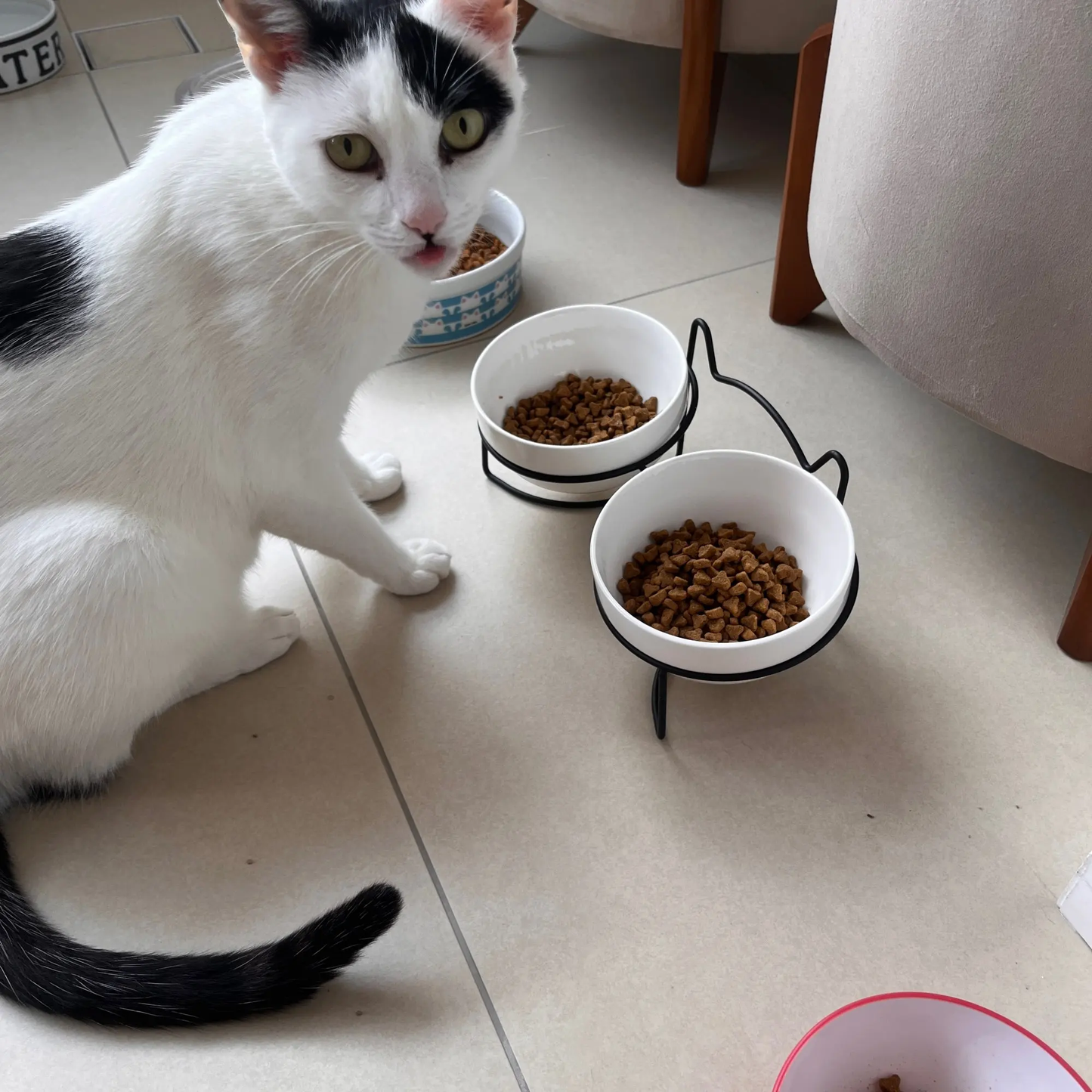 Photos clients avec notre support double gamelle design pour chat