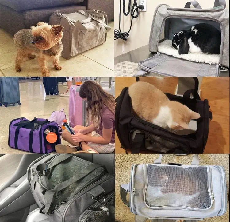 Photos clients du sac de transport pour animaux
