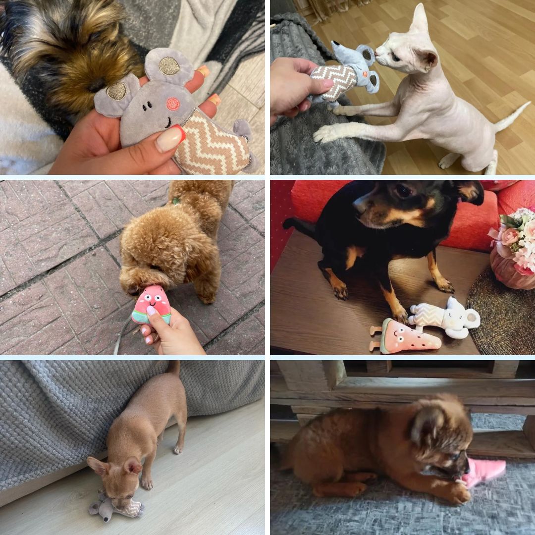 Photos clients de nos mini peluches pour chat