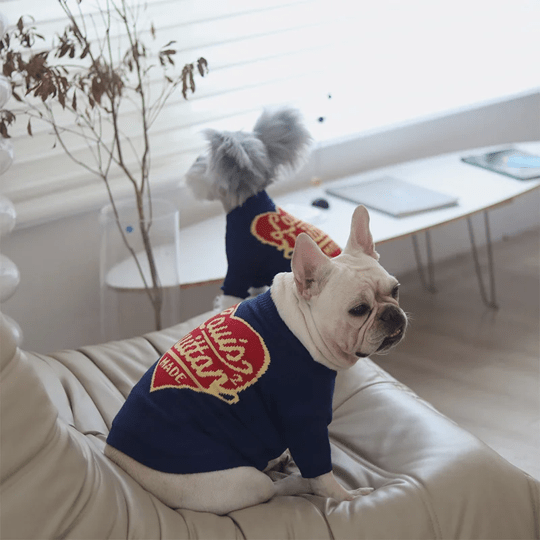 Pull LV pour chien