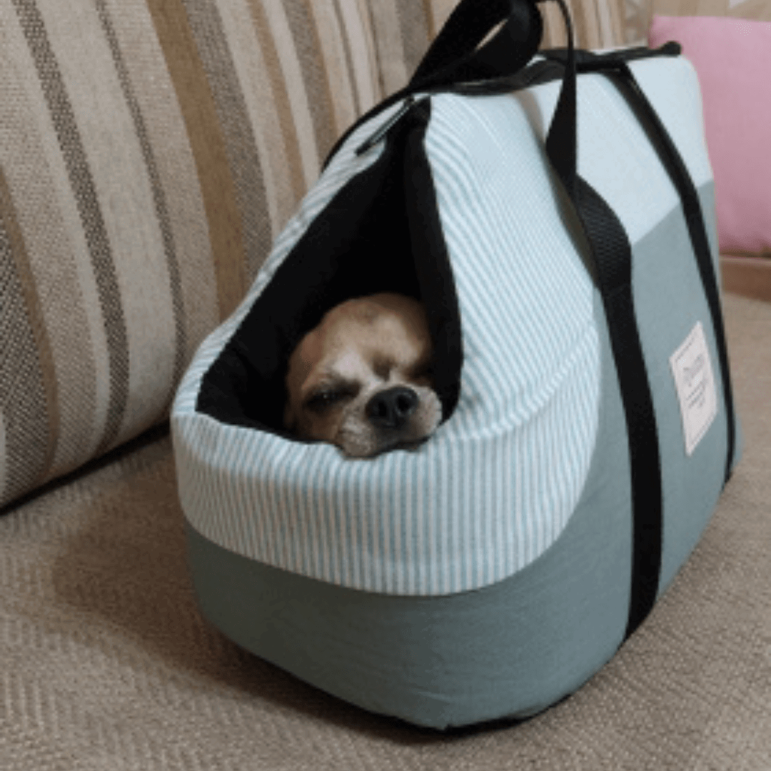 Petit chien transporté avec notre sac d'épaule