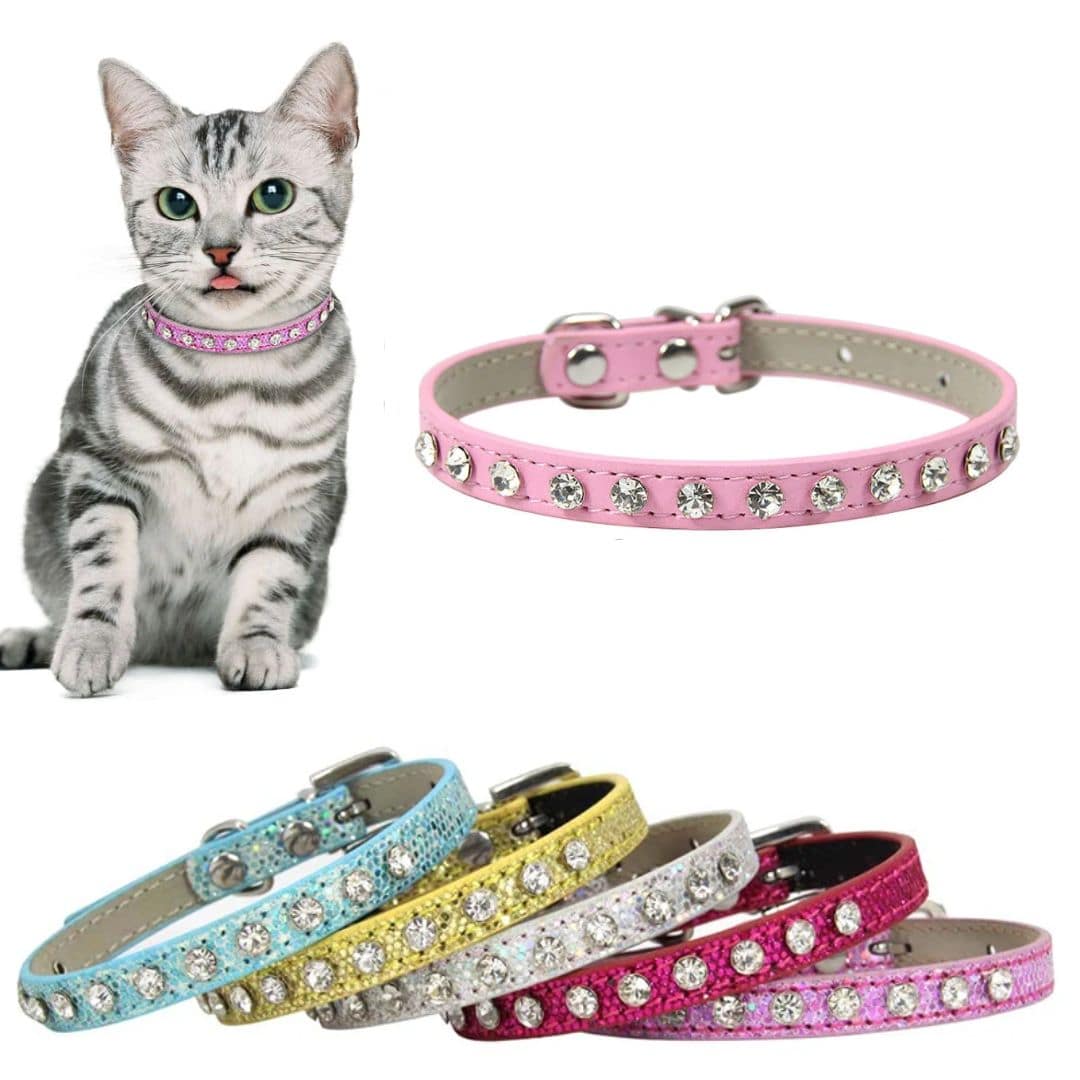 collier strass pour chat