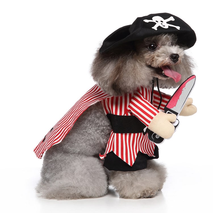 Déguisement pour chat et chien - Pirates
