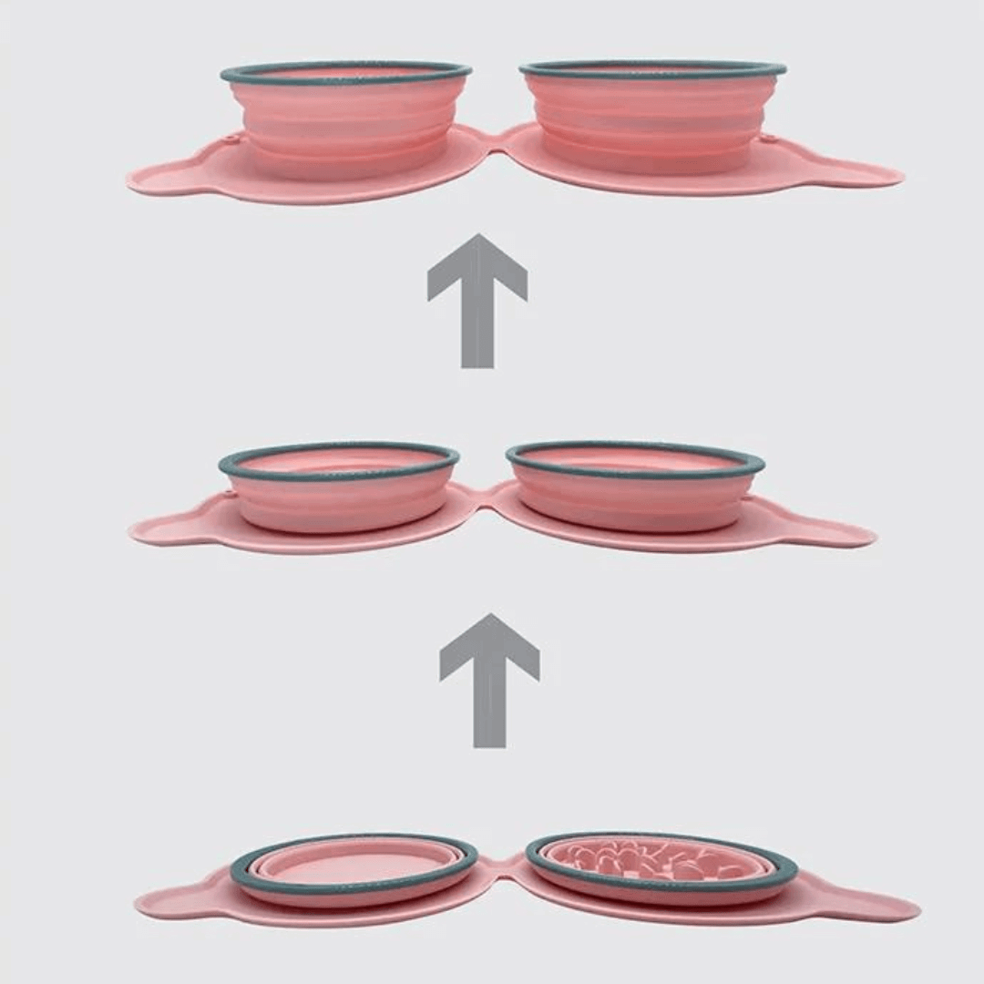 Utilisation de notre gamelle pliable en silicone pour animaux