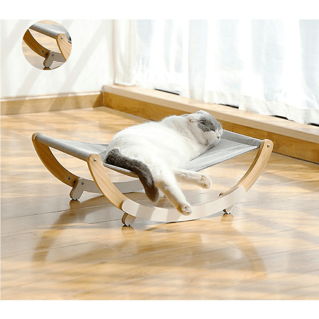 Chat sur notre transat sur pieds pour chat