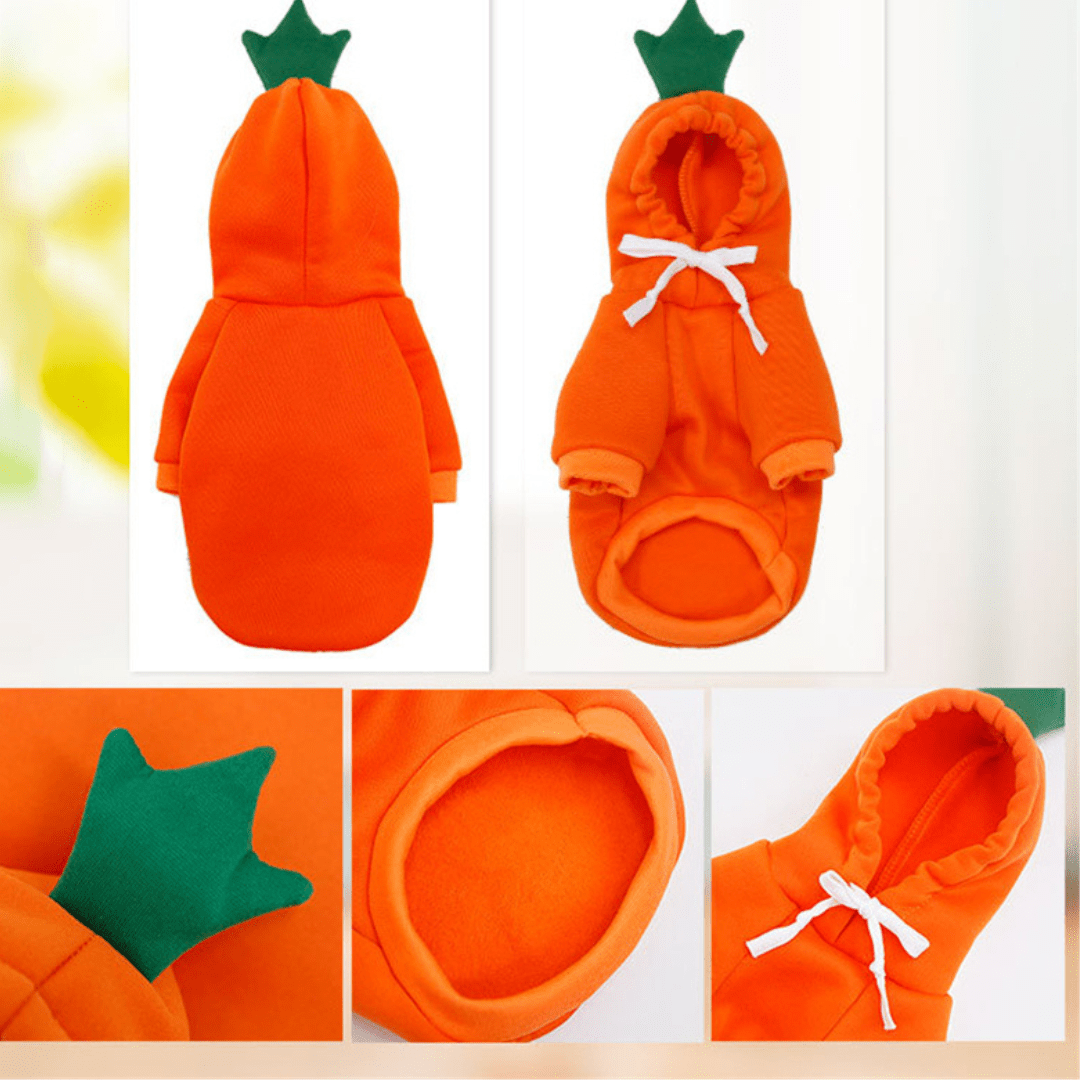 Détails de notre pull à capuche carotte pour chien et chat