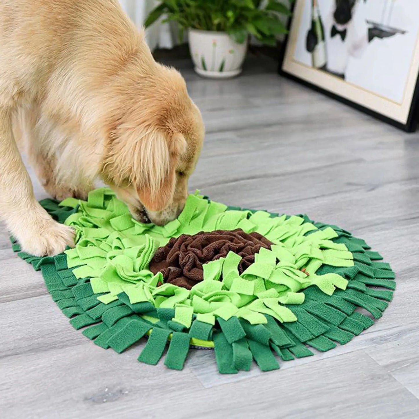Chien avec un tapis de fouille en forme d'avocat pour chien