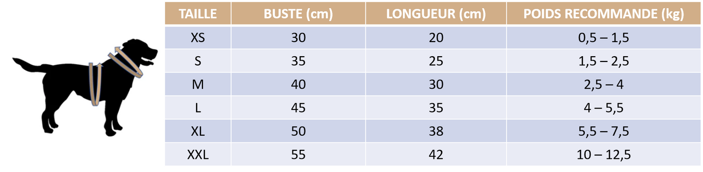 Guide des tailles de notre polo d'été pour petit chien
