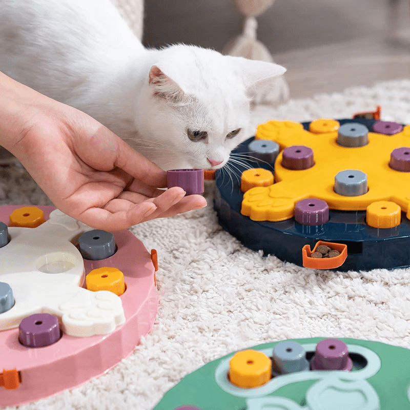 Chat qui utilise notre puzzle de fouille interactif