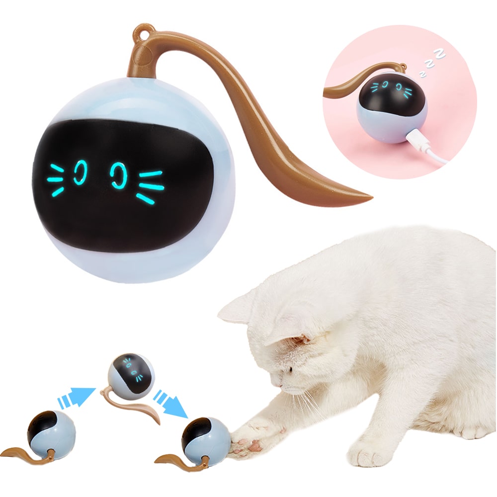 Présentation de notre balle automatique pour chat