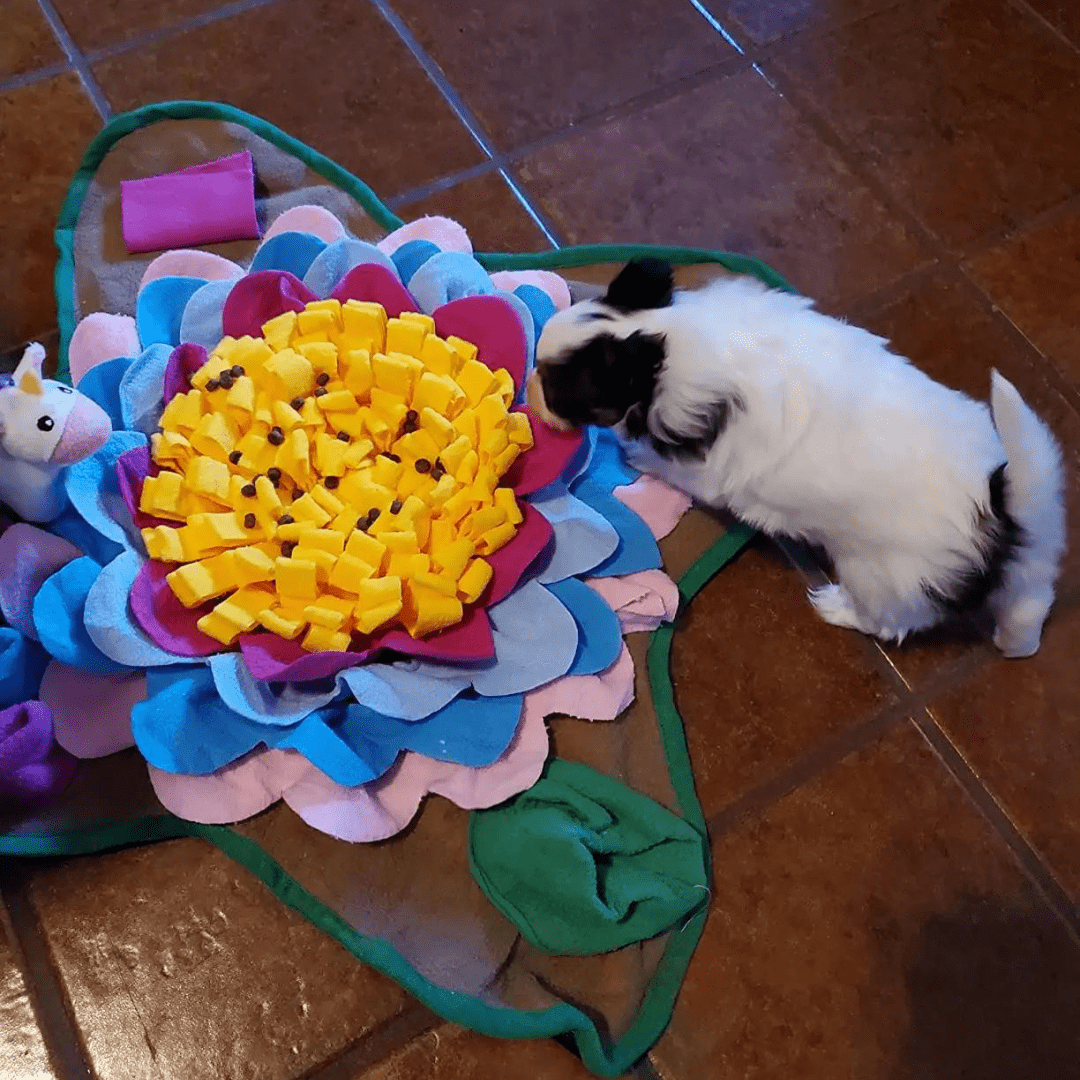 Photo client de notre tapis de fouille pour chien - Grande fleur