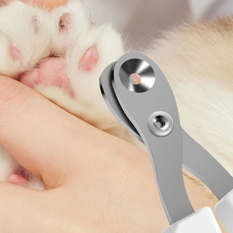 Coupe ongles professionnel pour animaux de compagnie