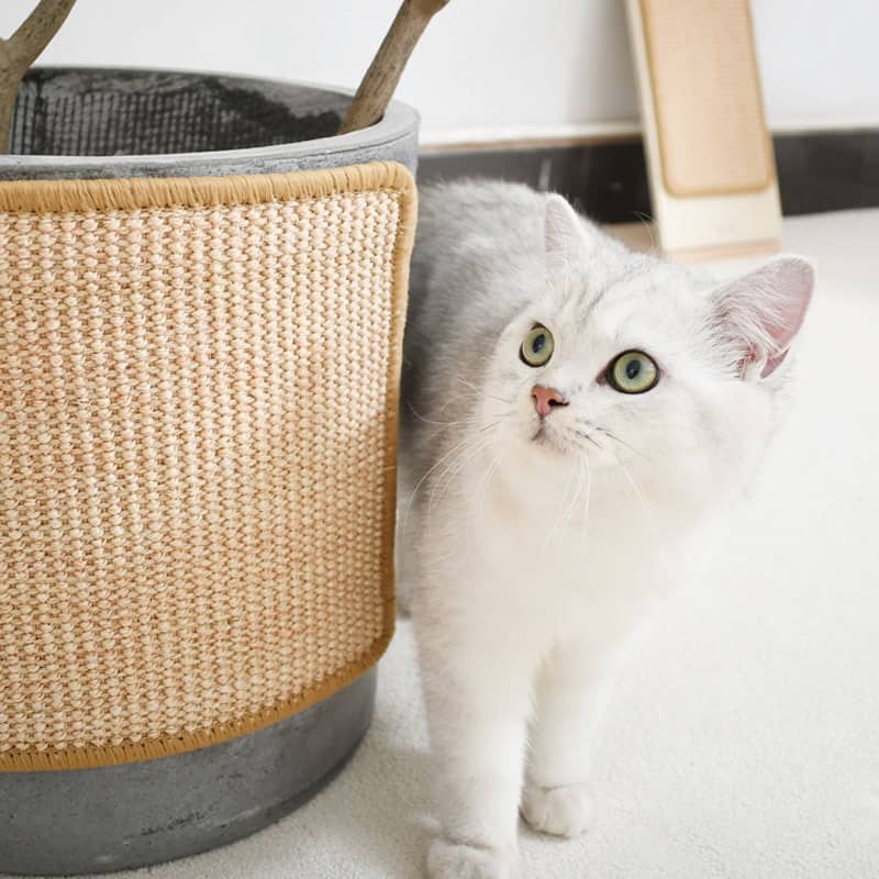 Tapis de griffoir pour chat