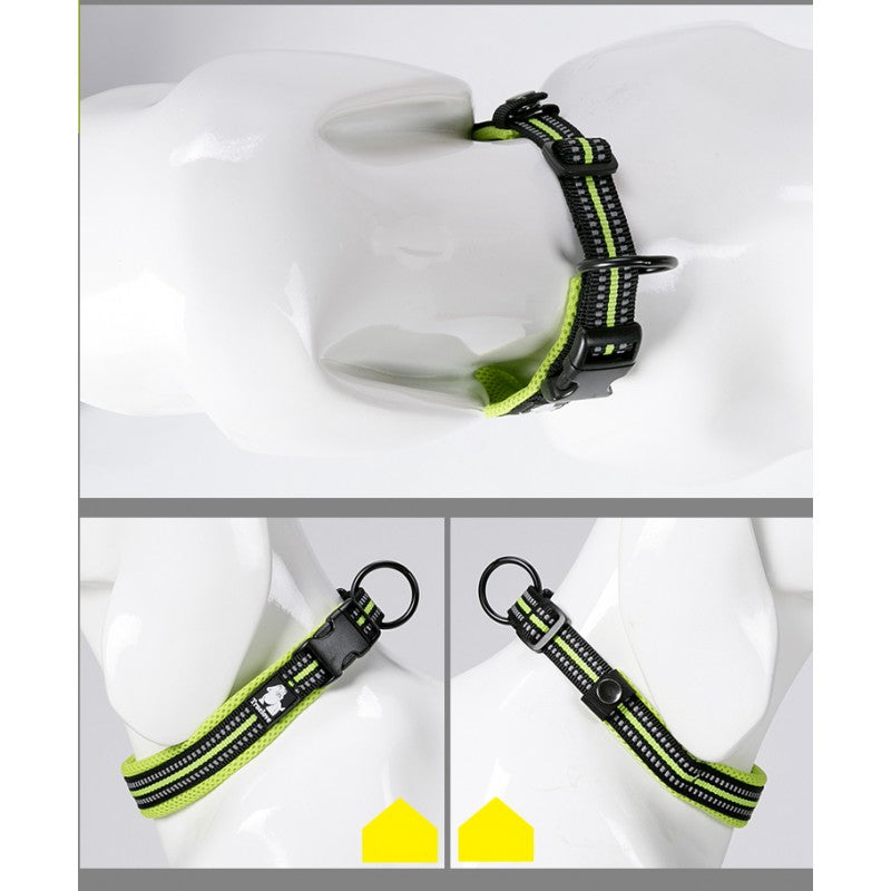 Collier vert en nylon pour chien