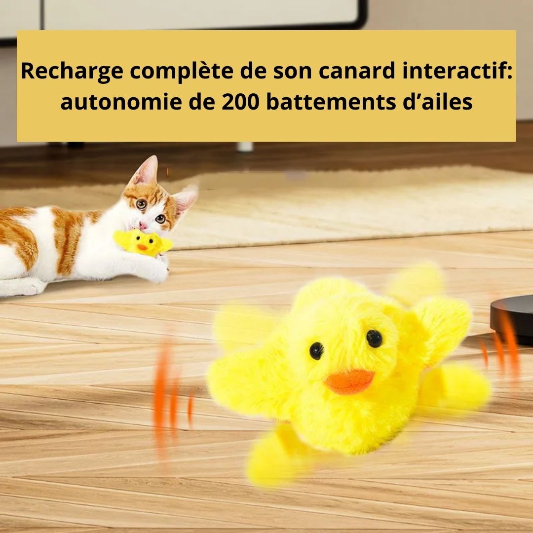 Autonomie de 200 battements d'ailes de notre peluche interactive canard pour chat