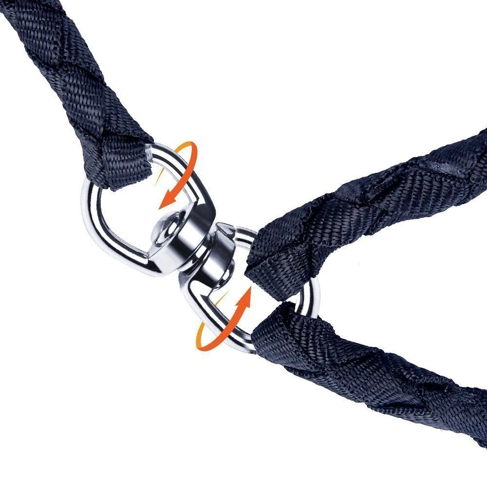 Détails de la double laisse pour chien