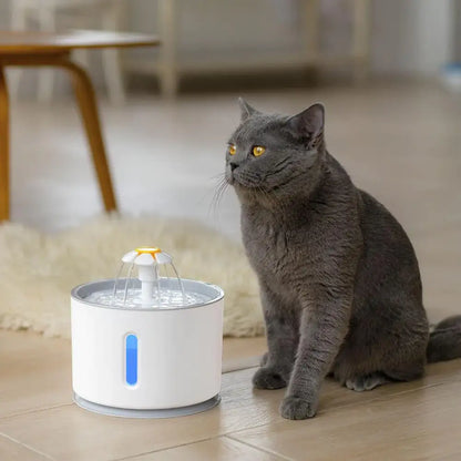 Fontaine à eau ronde avec LED pour chat