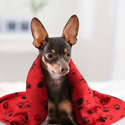 Chien dans notre plaid rouge pour animaux
