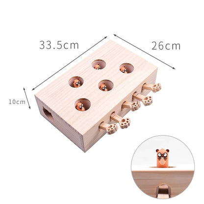 Dimensions puzzle de chasse en bois à 5 trous pour chat