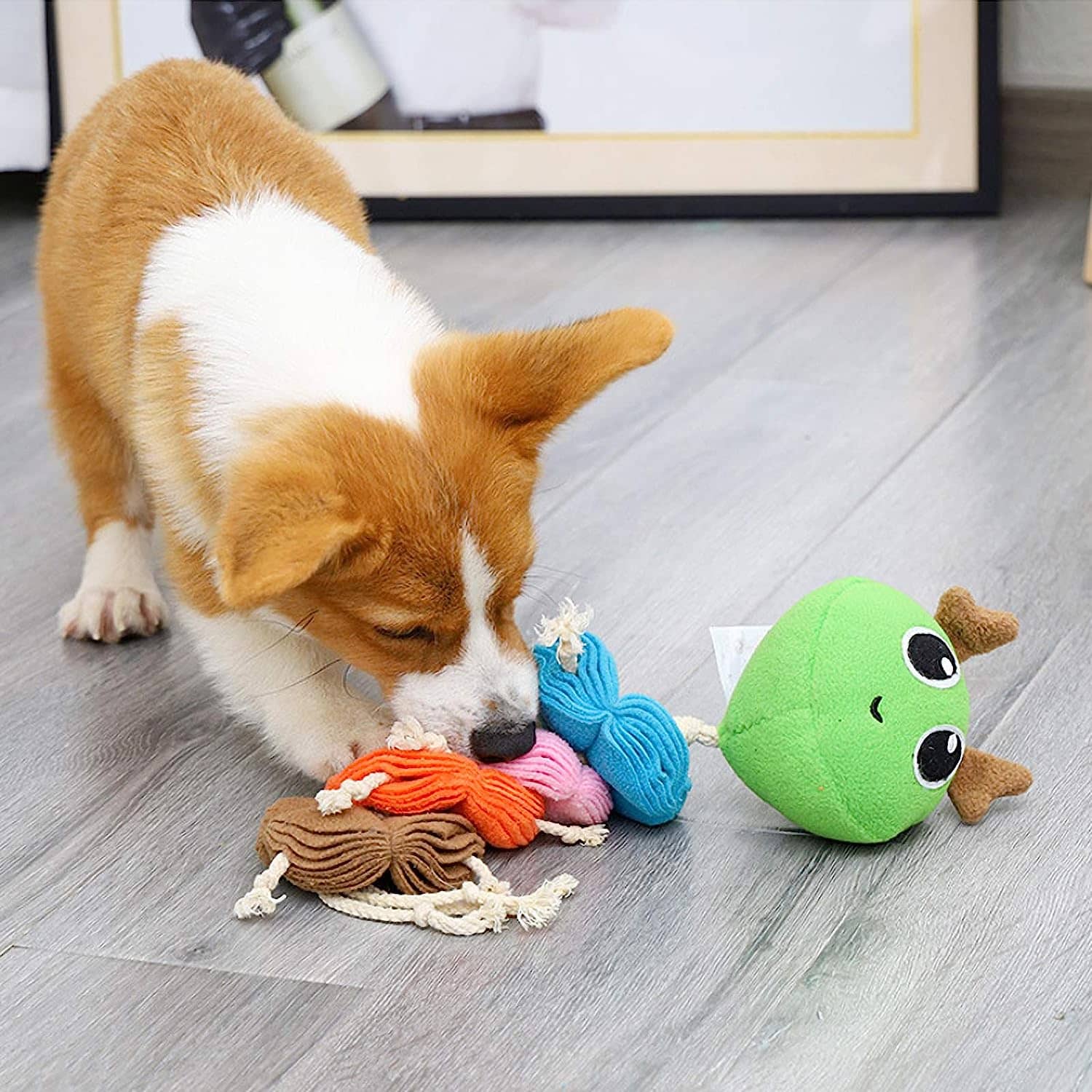 Stimulation mentale avec le jouet de fouille pour chien en forme de chenille