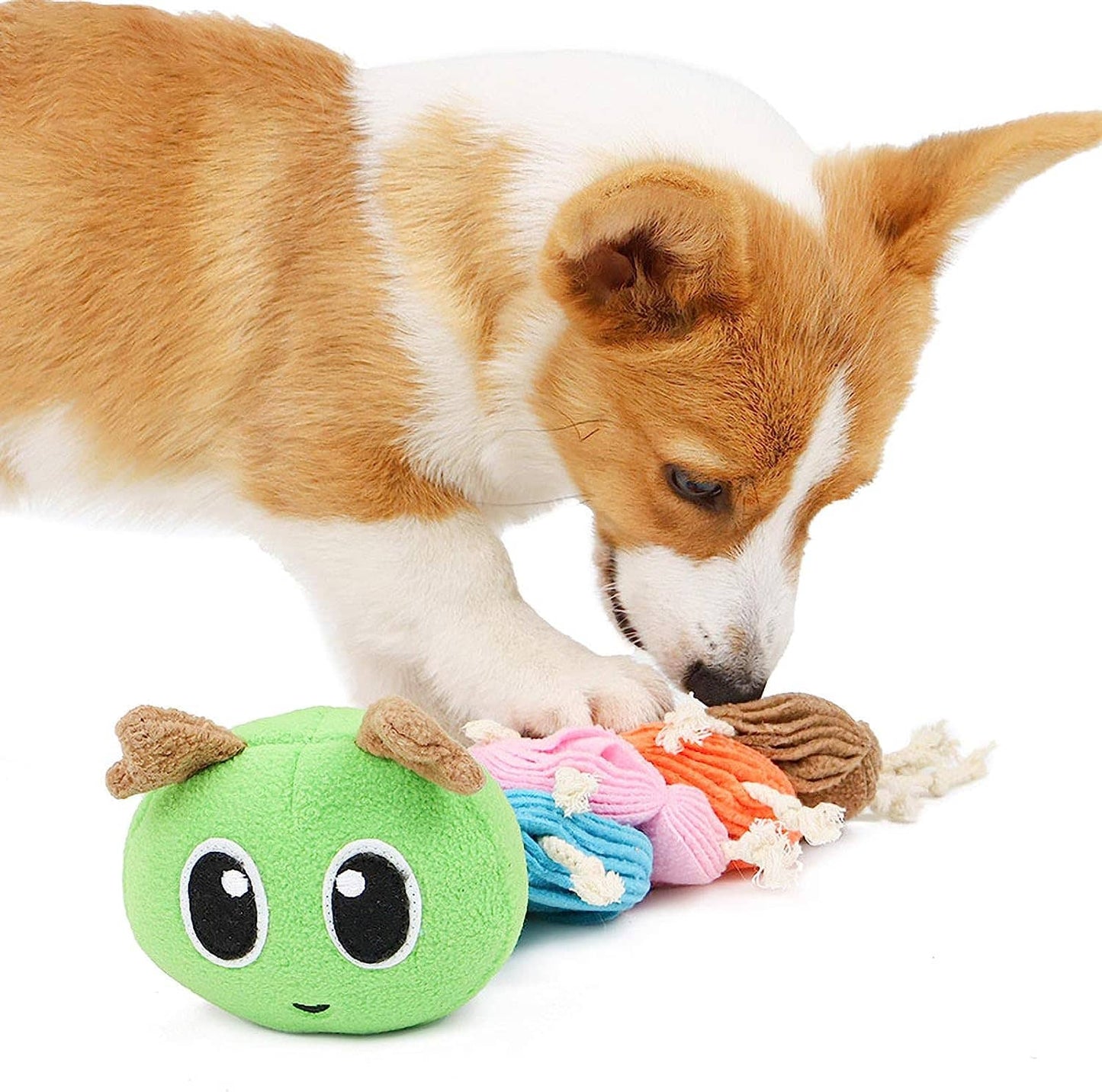 Chien qui joue avec un jouet de fouille en forme de chenille