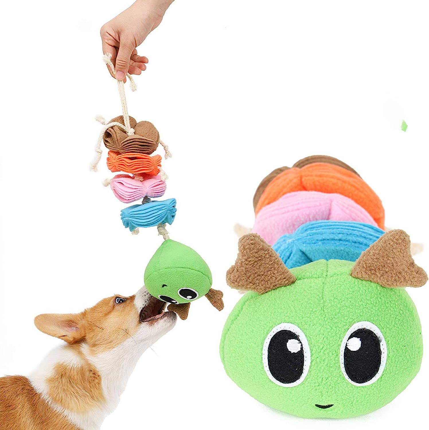 Jouet de fouille pour chien