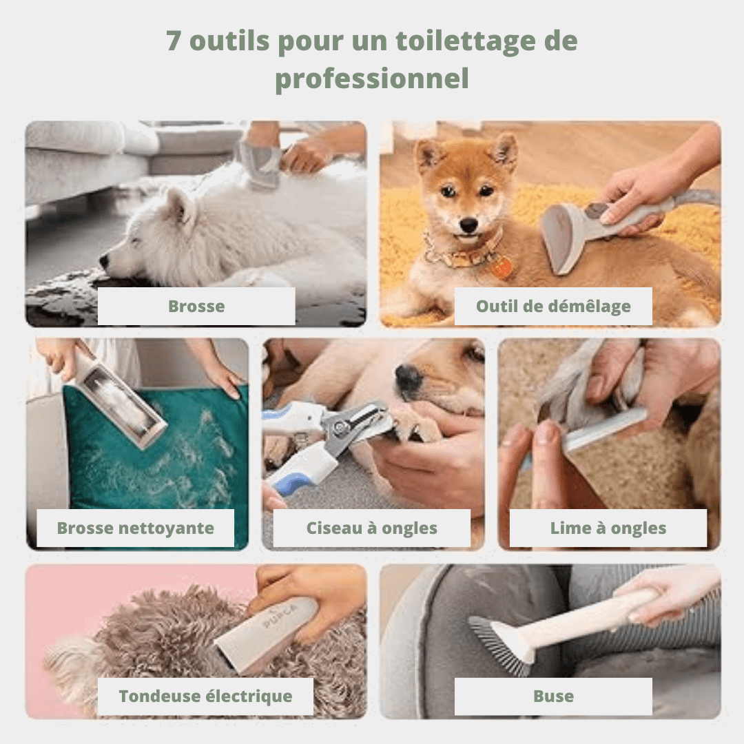 7 outils de toilettage inclus dans le kit