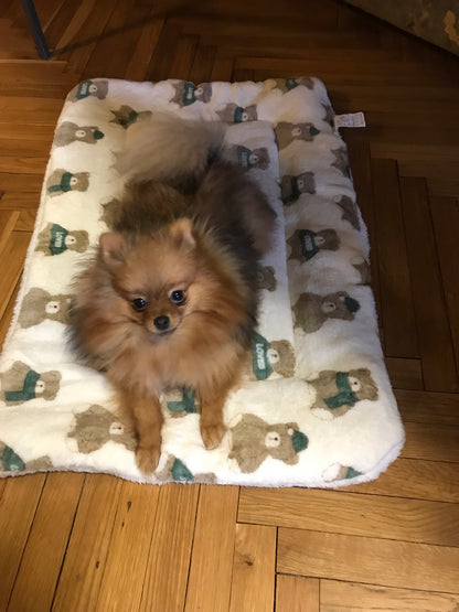 Chien sur notre tapis de couchage pour animaux avec des motifs ours