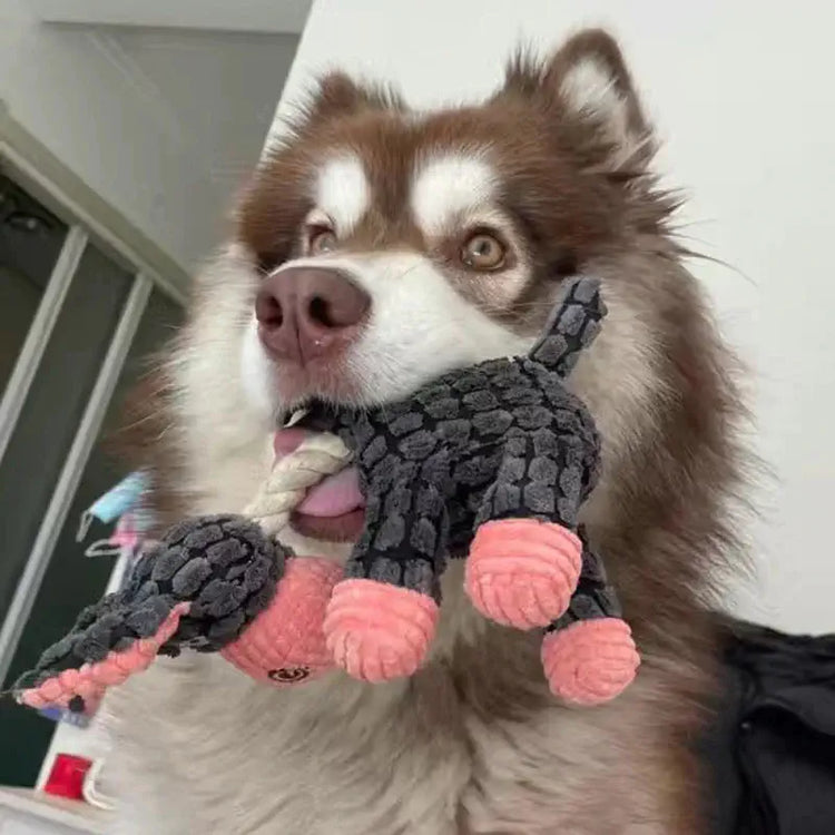 Chien avec notre peluche âne 