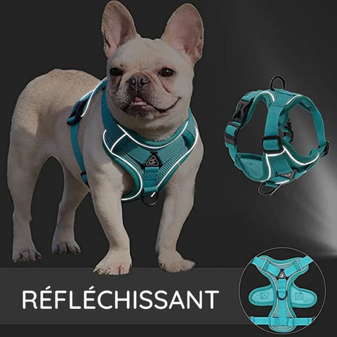 Harnais réfléchissant pour chien et chat