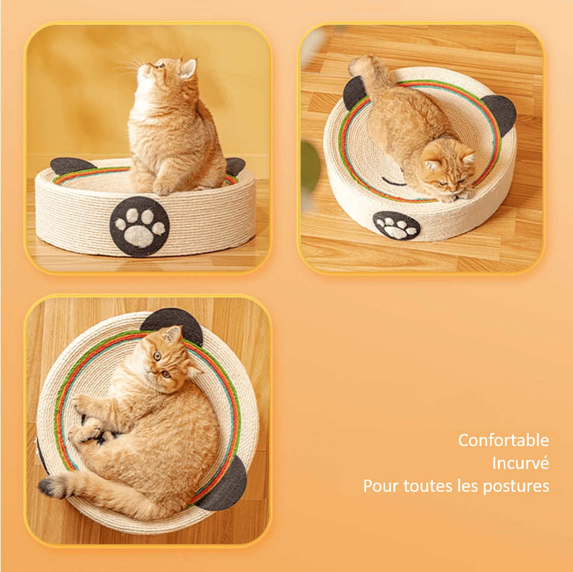 Chat sur un griffoir pour chat en forme de panda