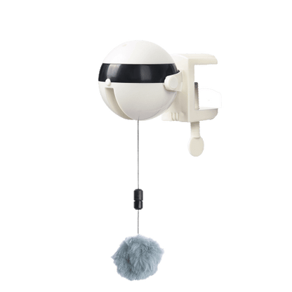 Jeu interactif de balle suspendue pour chat