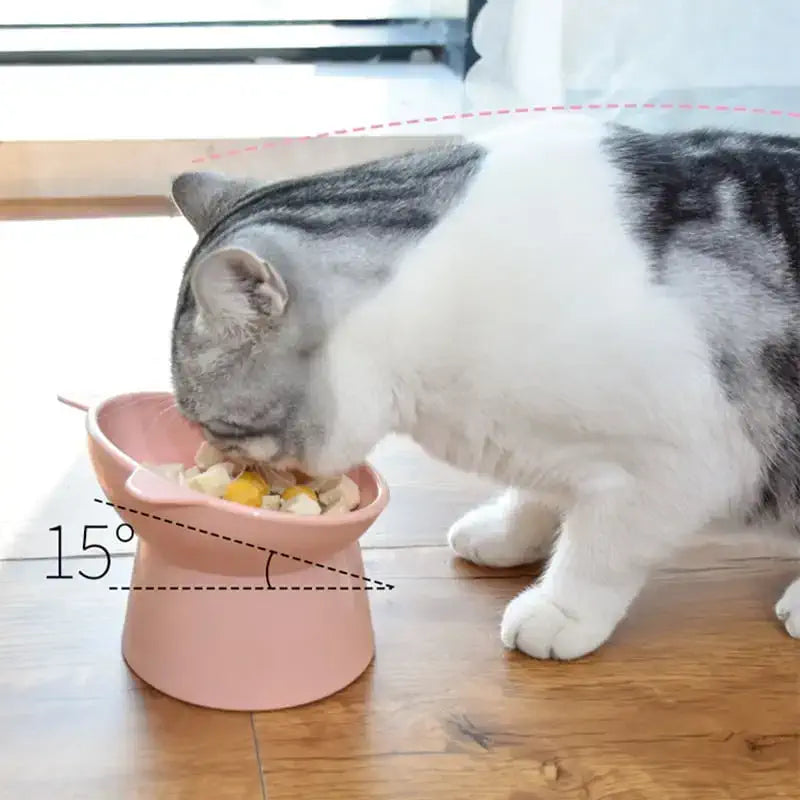 Bol surélevé pour chat 