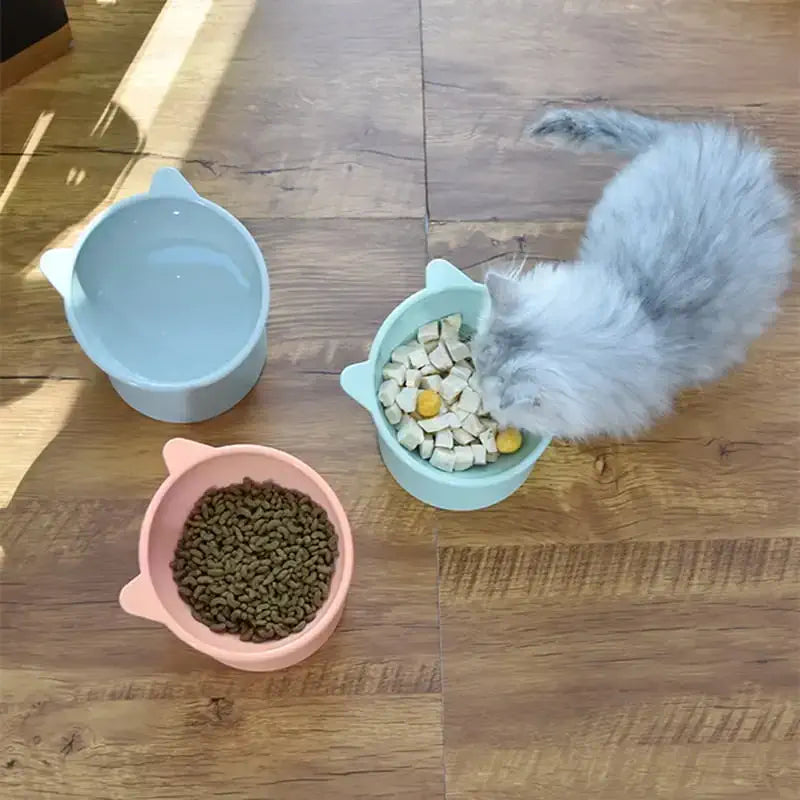 3 bols surélevés pour chat