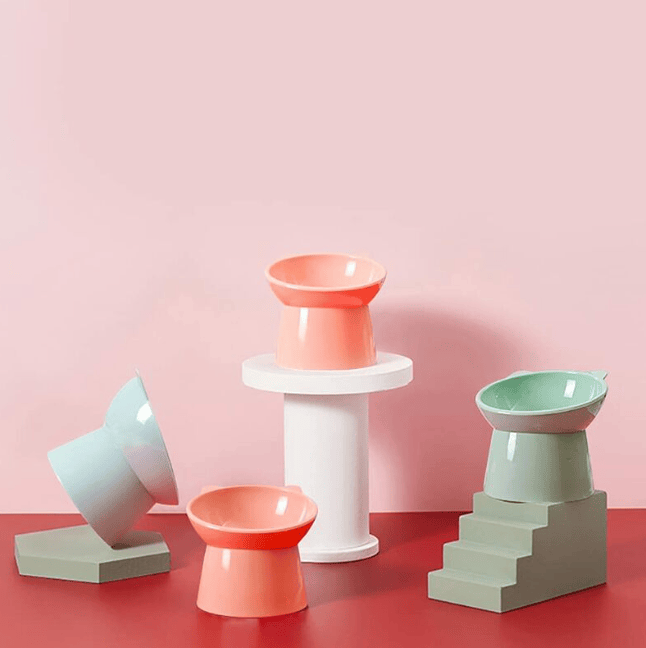 Bol surélevé pour chat design