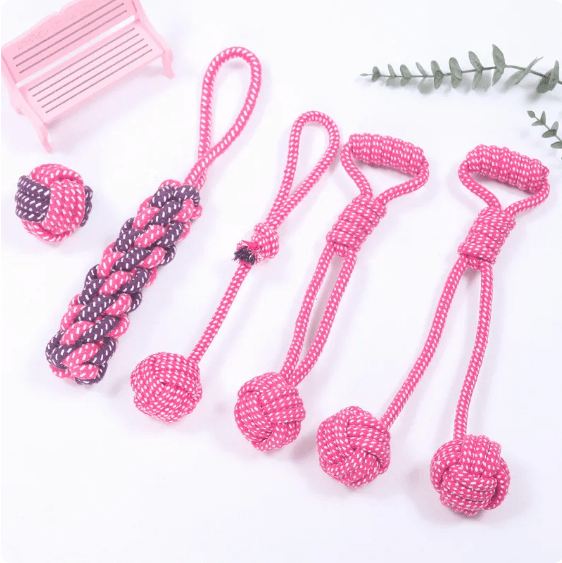 Lot de 5 cordes roses à mâcher pour chien
