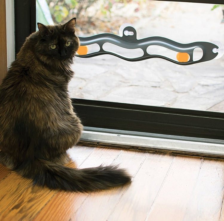 Chat qui joue avec notre jouet BWave™