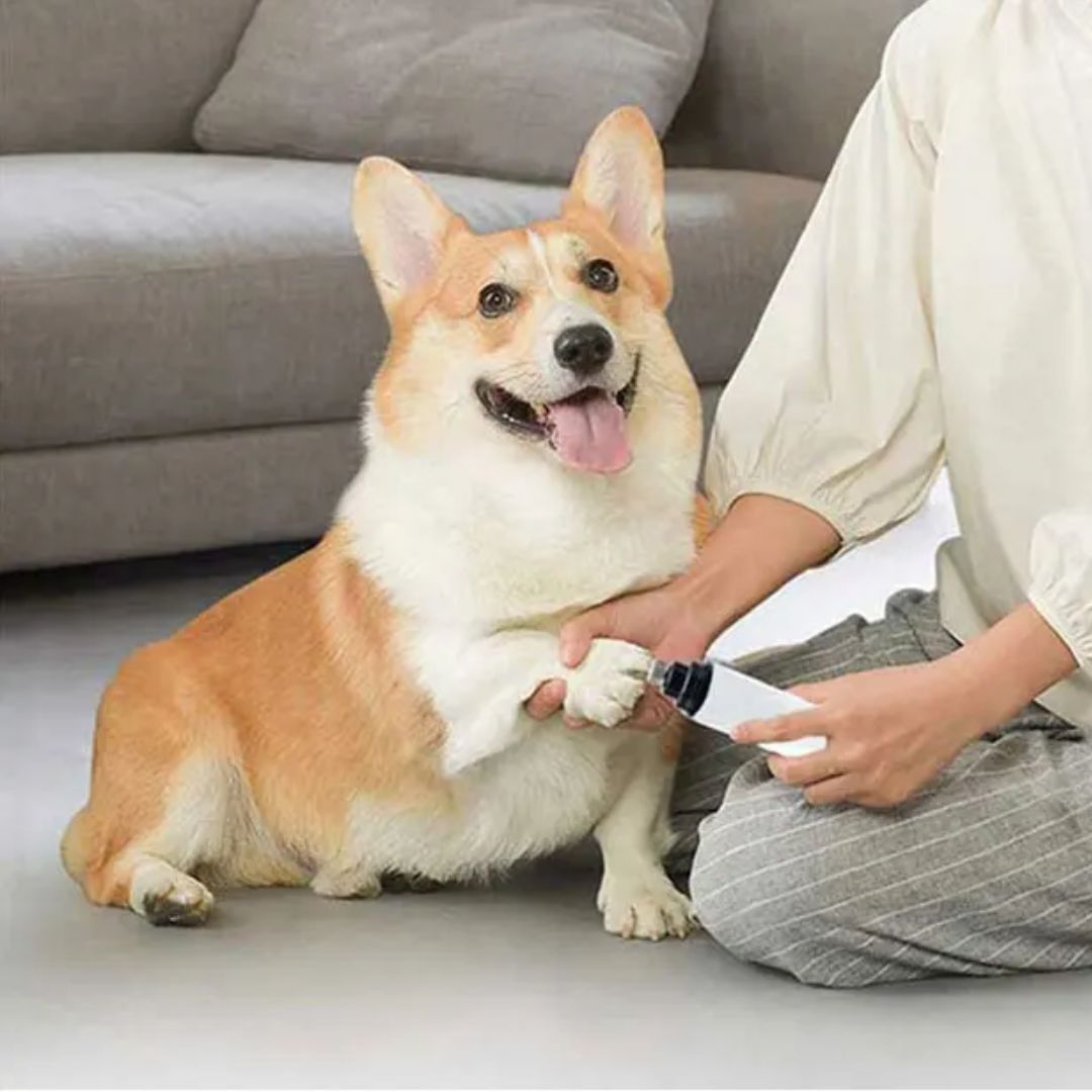 Lime à ongles électrique pour chien et chat 