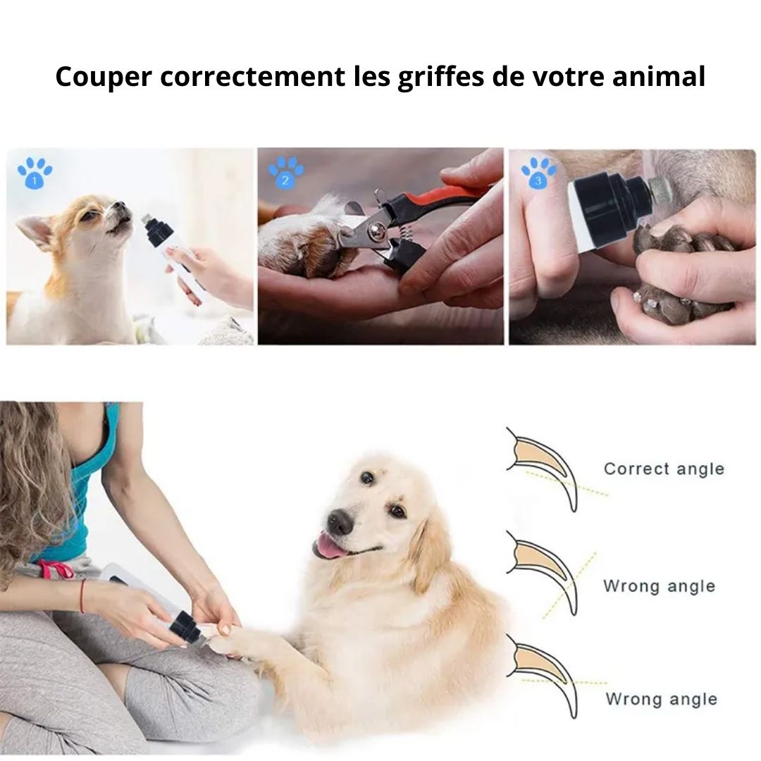 Utilisation de notre lime à ongles électrique pour chien et chat