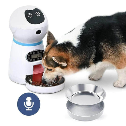 Chien utilisant notre distributeur intelligent de croquettes