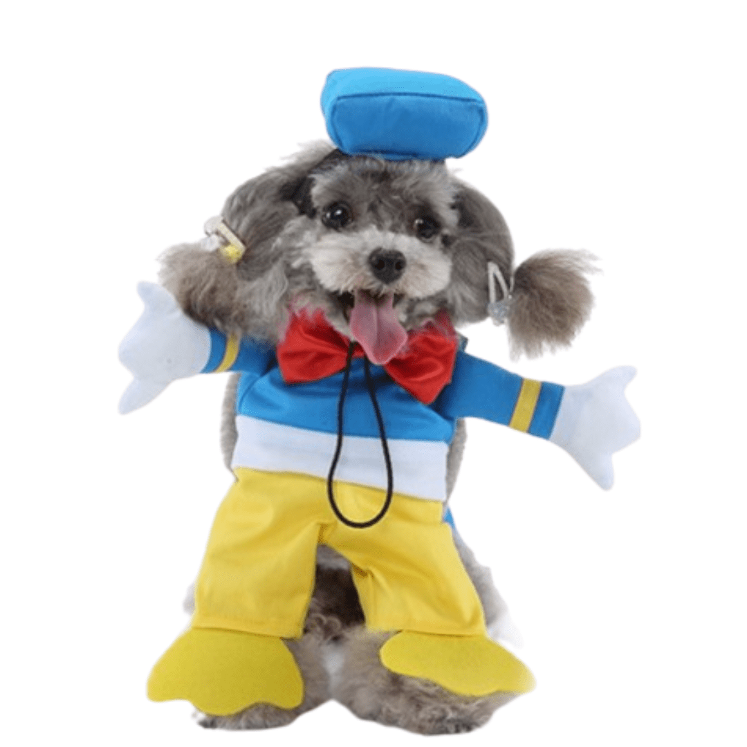 Déguisement donald pour chien et chat
