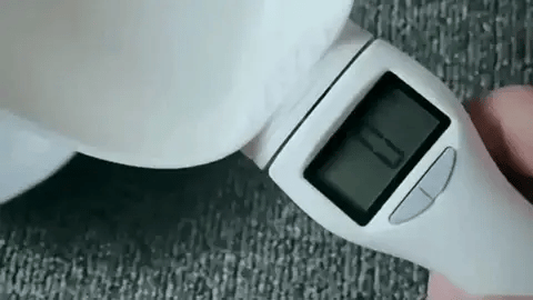 Démonstration cuillère balance électronique pour croquettes