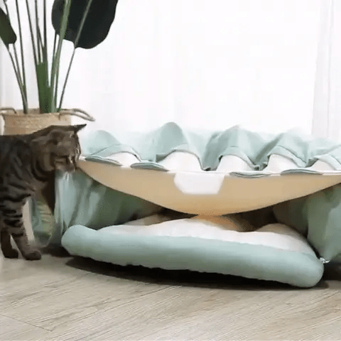 Chat qui va dans son lit pliable avec tunnel