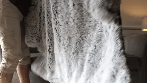 Installation rapide du canapé-lit pour chien