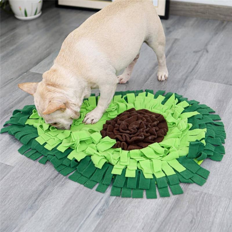 Chien avec un tapis de fouille en forme d'avocat pour chien