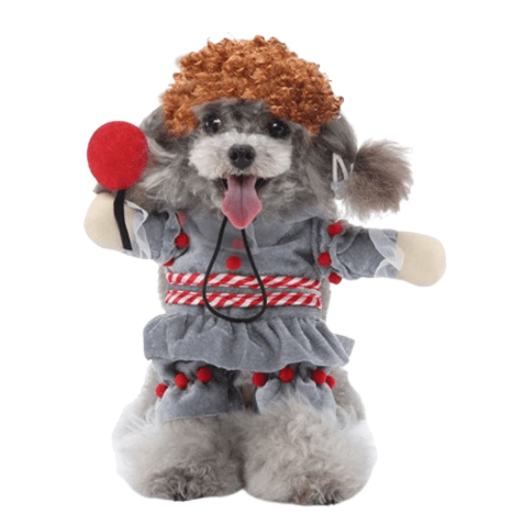 déguisement grippe-sou pour chien et chat